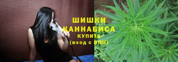 ПСИЛОЦИБИНОВЫЕ ГРИБЫ Аркадак