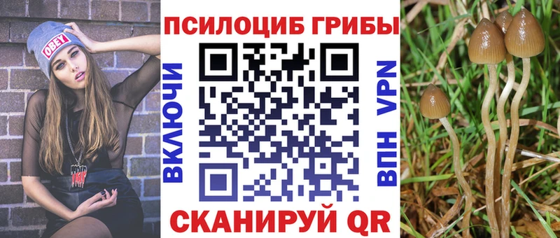 магазин продажи наркотиков Любань Псилоцибиновые грибы мухоморы